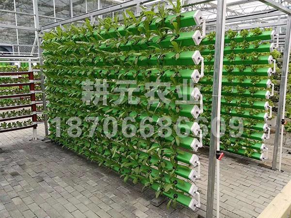 應用無土栽培設(shè)備在哪些方面
